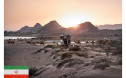 Gordigear Dachzelt Plus Für 4 Personen Mit Staufläche 180 X 320 Cm Grün -Campingzelte Verkaufsgeschäft 585635 3986339