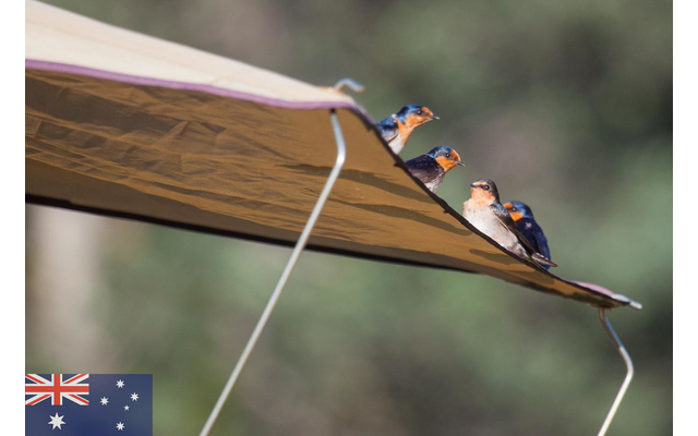 Gordigear Dachzelt 140 Plus Für 2 Personen Mit Vorzelt 140 X 320 Cm Grün 9 Gordigear Dachzelt 140 Plus Für 2 Personen Mit Vorzelt 140 X 320 Cm Grün – Bild 7